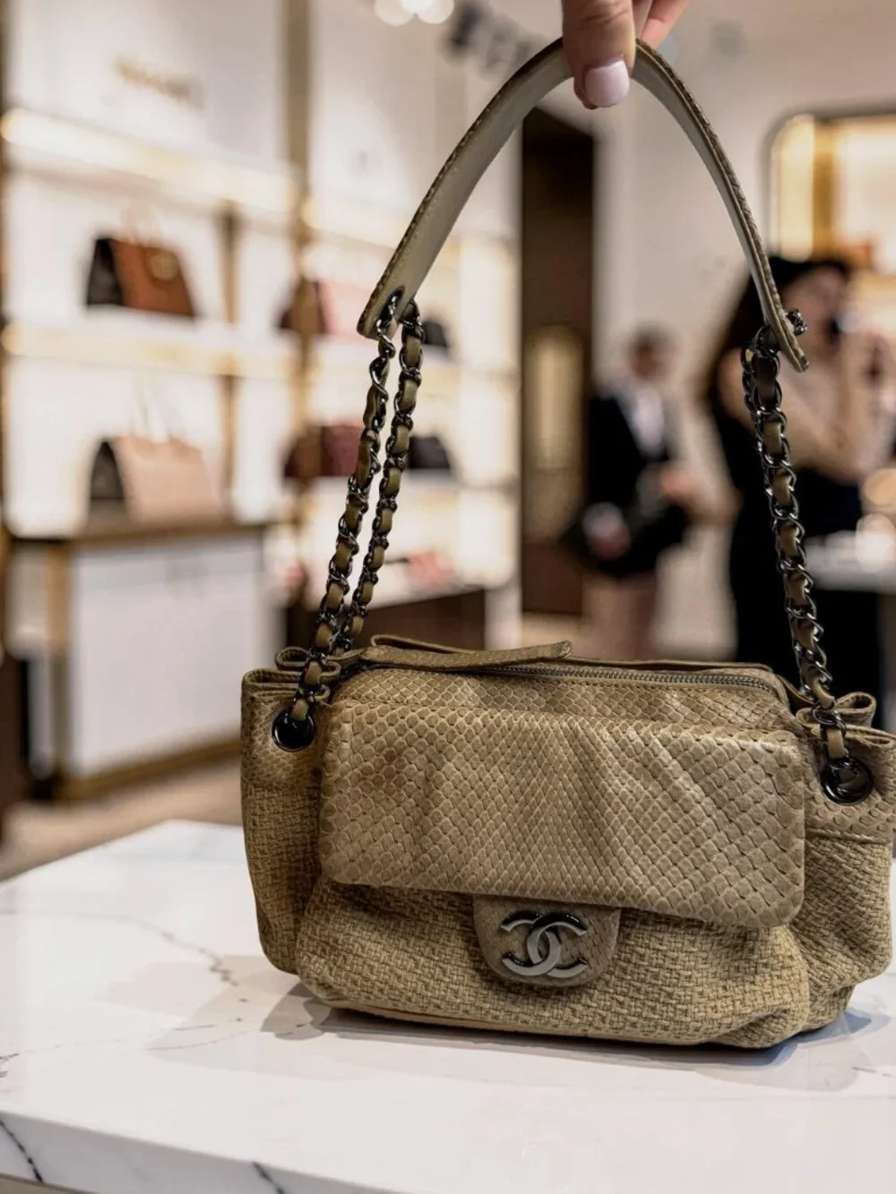 Chanel Python-Trimmed Accordion Flap Bag Taupe Exotic